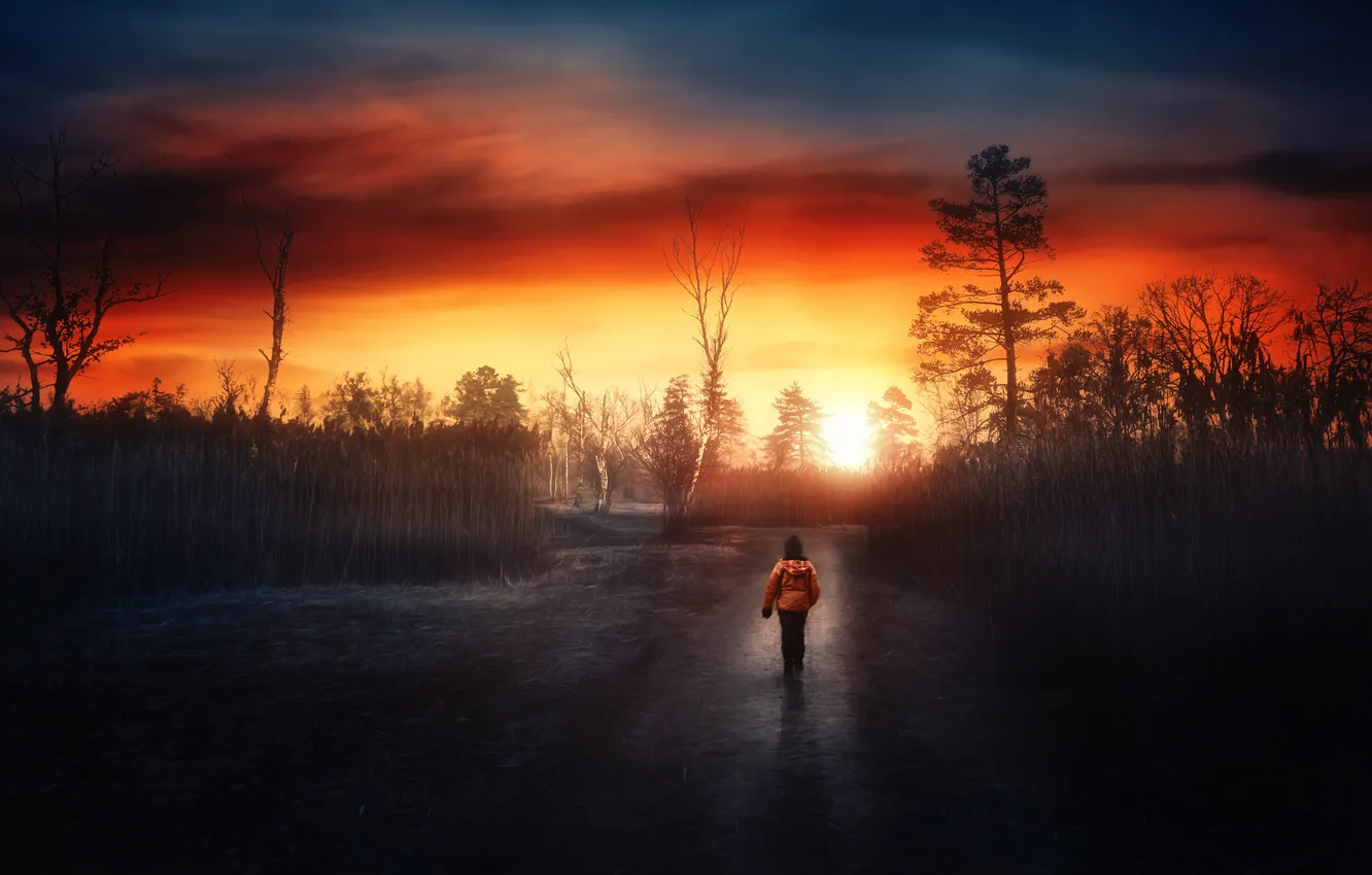 Photo wallpaper road, the sky, night