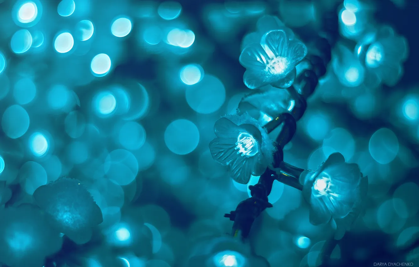 Photo wallpaper flowers, glow, lighting, turquoise