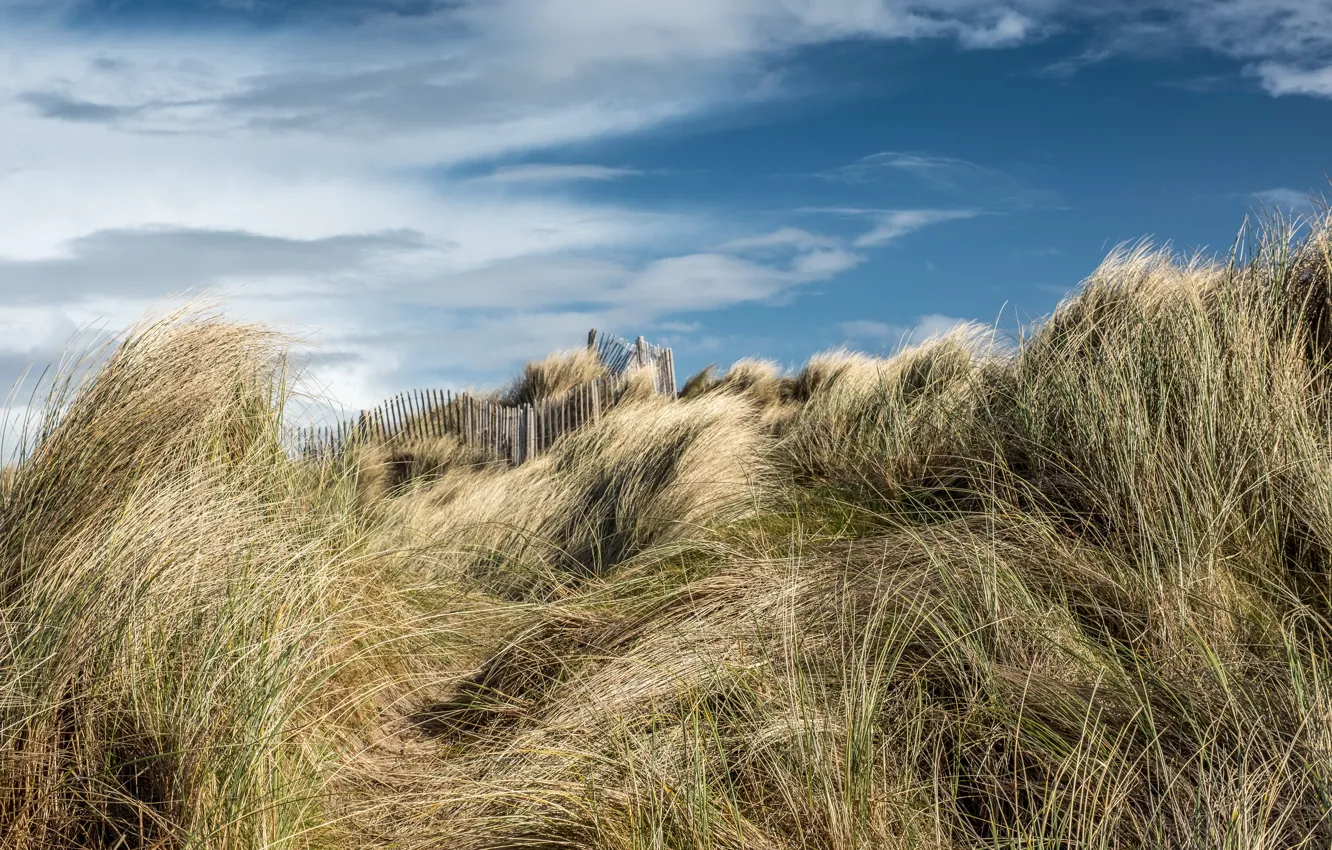 Photo wallpaper beach, summer, the sky, dunes
