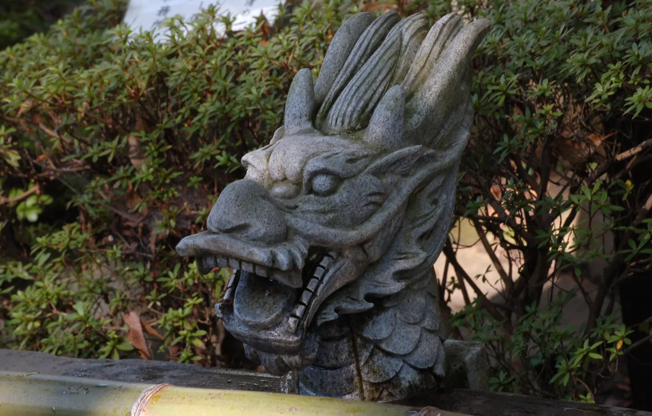Photo wallpaper sculpture, stone head, the dragon's mouth