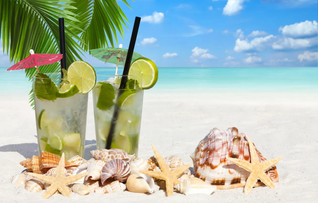 Photo wallpaper sea, beach, palm trees, lime, shell, starfish, beach, sea