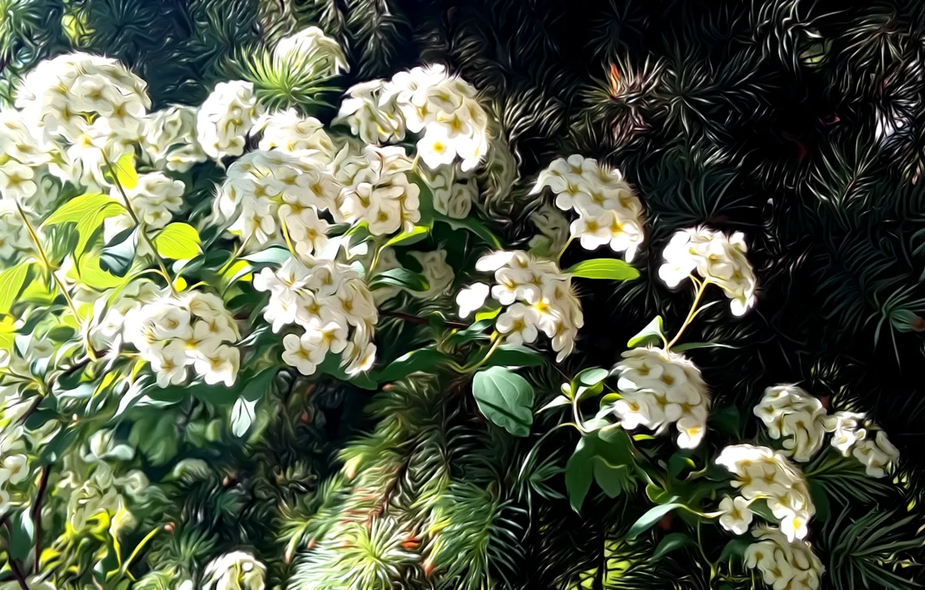 Photo wallpaper greens, leaves, rendering, spring, needles, picture, white flowers, sunlight