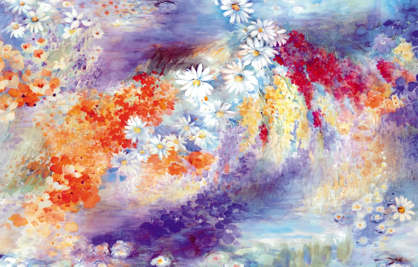 Photo wallpaper flowers, figure, chamomile