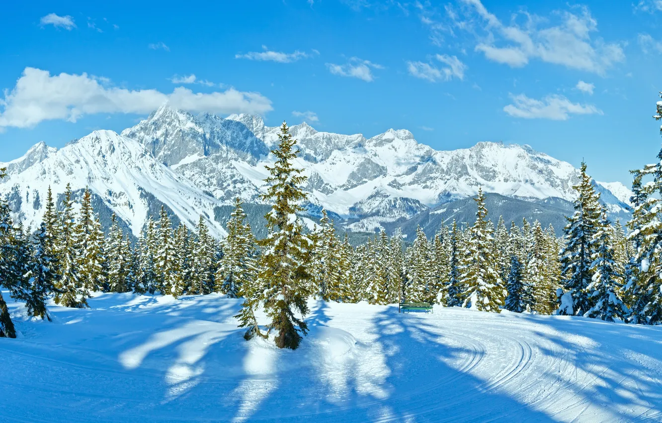Photo wallpaper wide, sky, winter, view, snow, tree, slope, Track