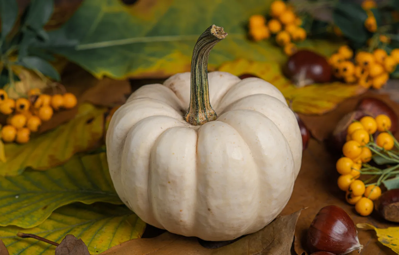 Photo wallpaper autumn, leaves, berries, pumpkin, bokeh, chestnuts, hawthorn