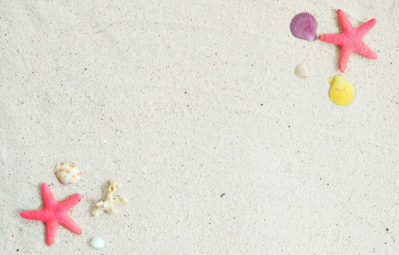 Photo wallpaper sand, beach, background, star, shell, summer, beach, sand