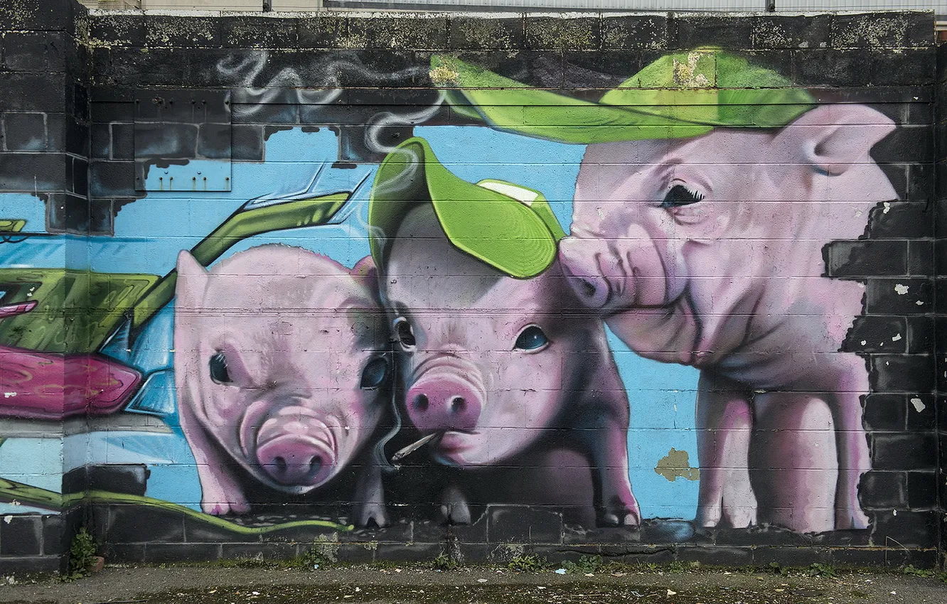 Photo wallpaper the city, wall, grafiti