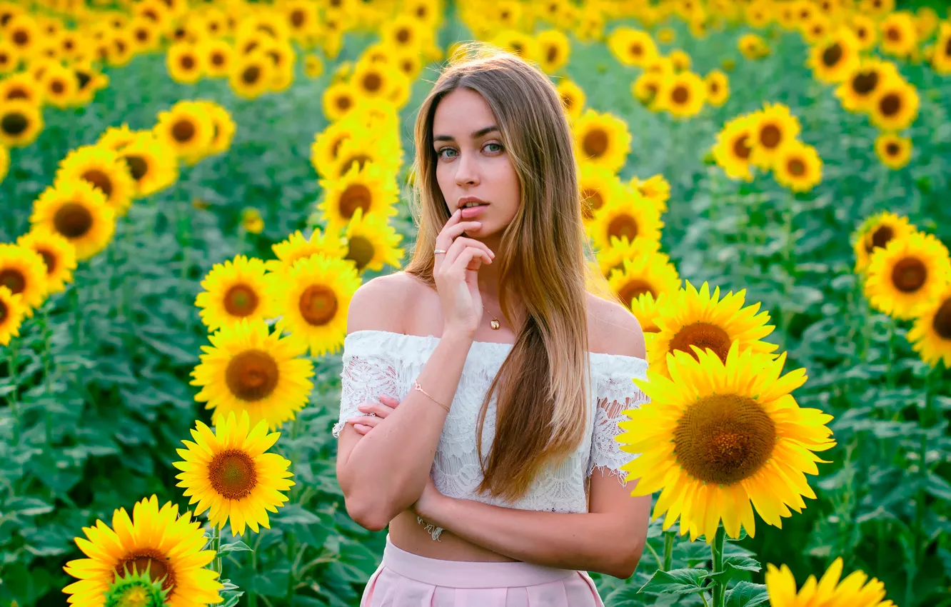 Photo wallpaper look, sunflowers, flowers, Eugeny Agashin