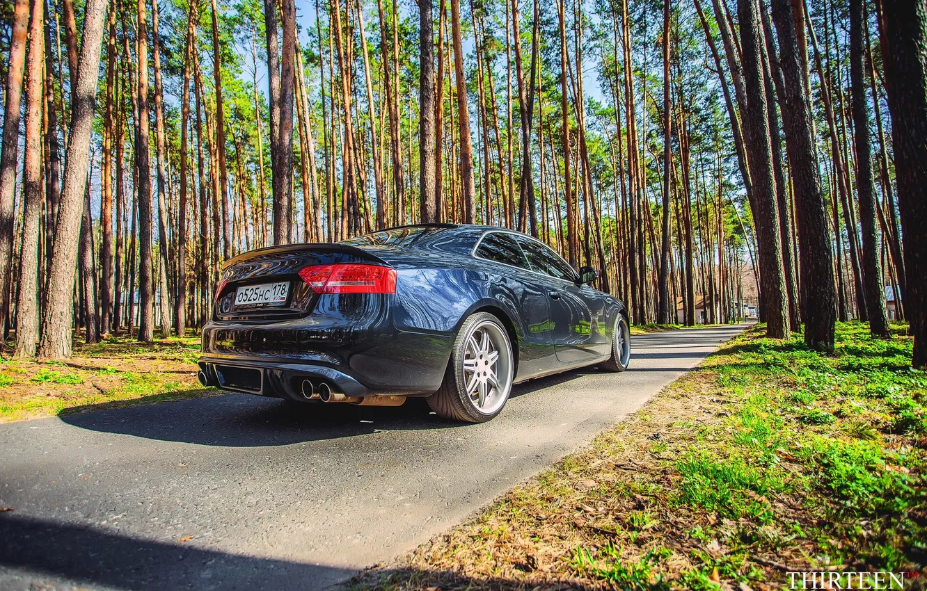 Photo wallpaper road, machine, auto, forest, Audi, Audi, photographer, auto