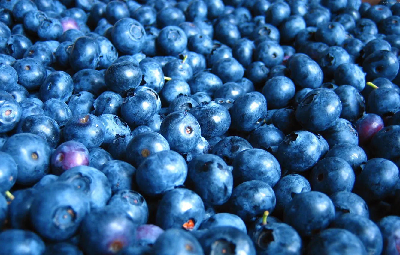 Photo wallpaper food, blueberries, food, blueberries, fruits berries