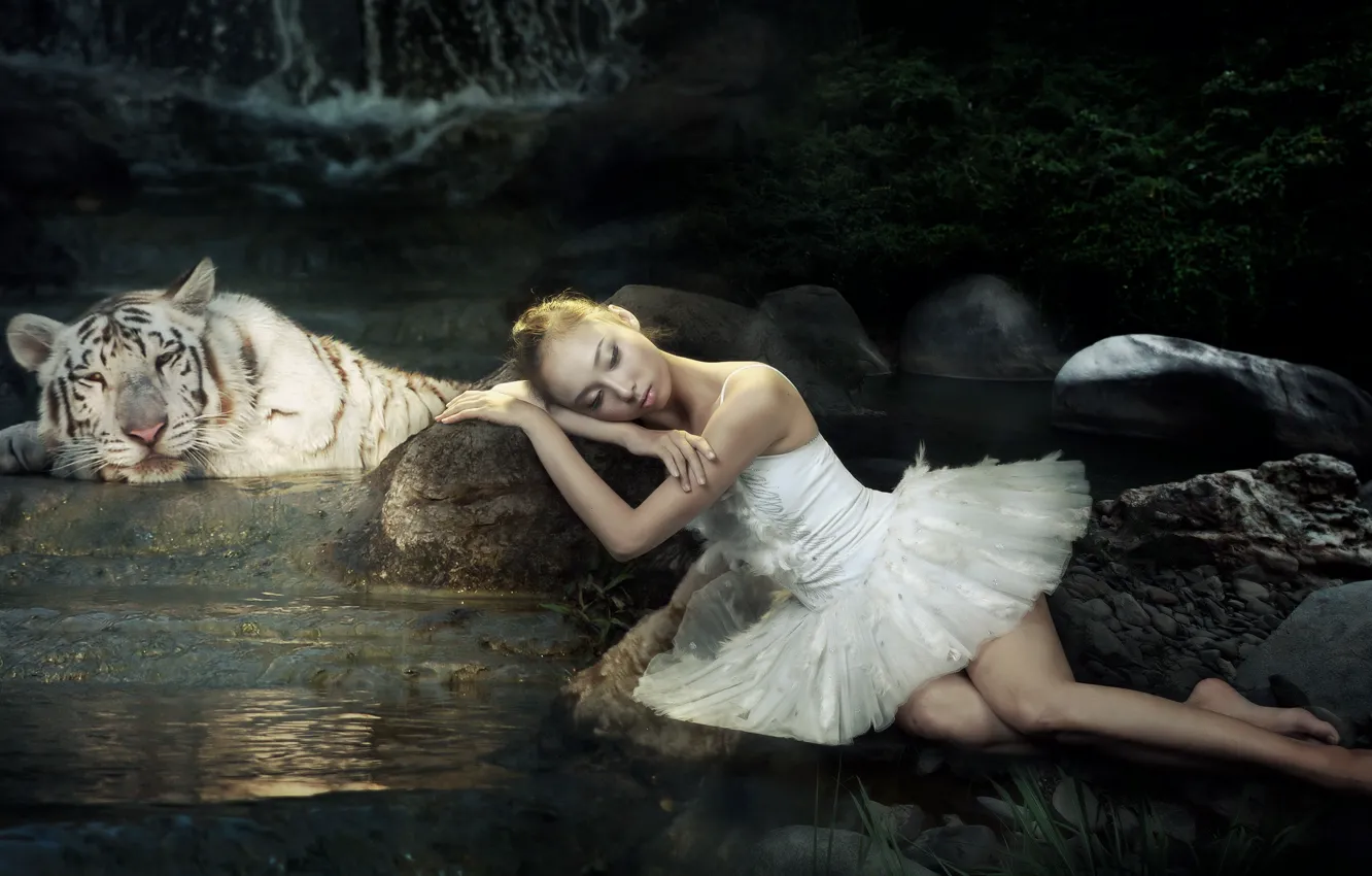 Photo wallpaper girl, tiger, background