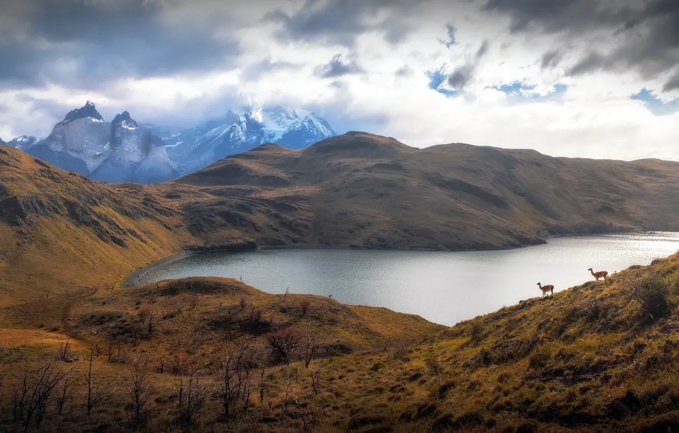 Photo wallpaper Torres del Paine, The Victorina, Region of Magallanes, Patagonese Memories
