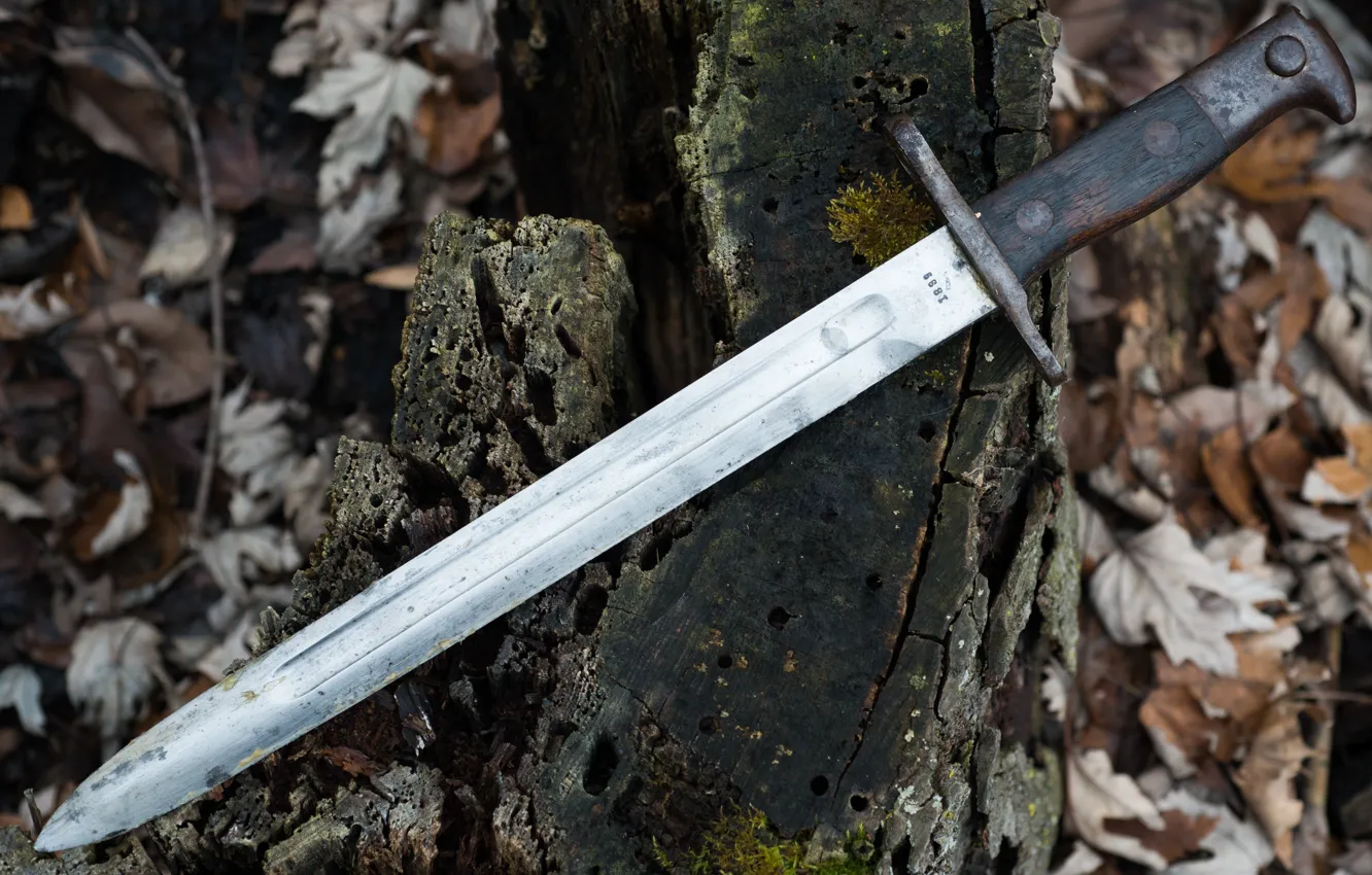 Photo wallpaper weapons, bayonet knife, M1892, Krag Bayonet