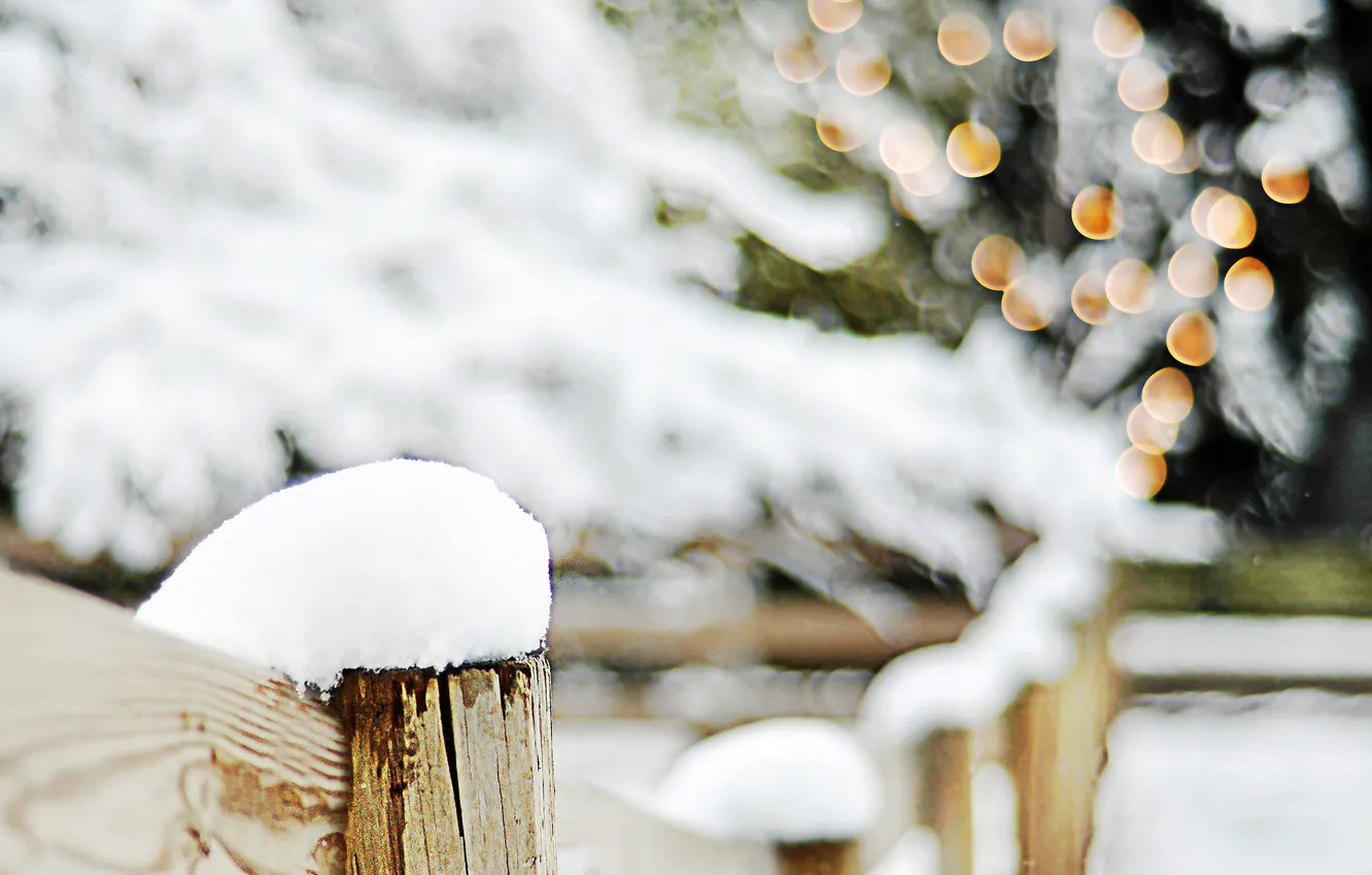Photo wallpaper winter, snow, trees, branches, lights, the fence, blur, wooden