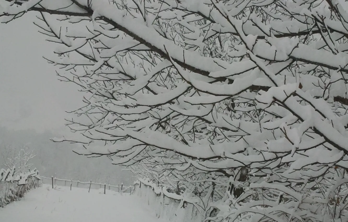 Photo wallpaper winter, mountains, Azerbaijan