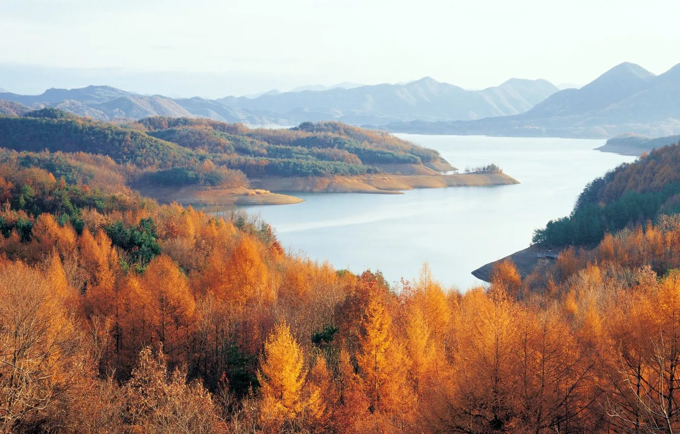 Photo wallpaper autumn, forest, mountains, lake, Korea, Chungjuho Lake