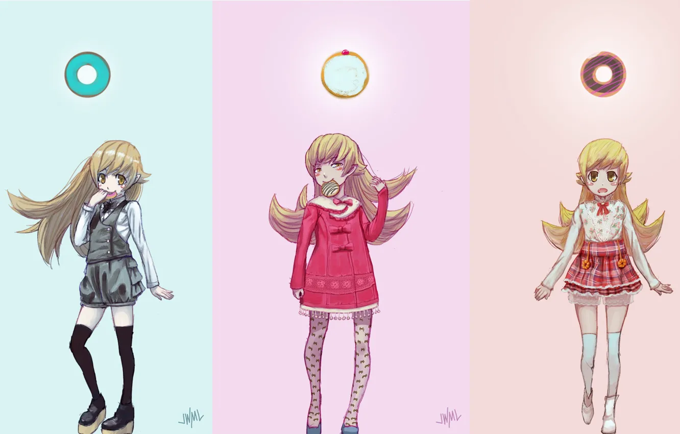 Photo wallpaper collage, girl, donuts, Bakemonogatari