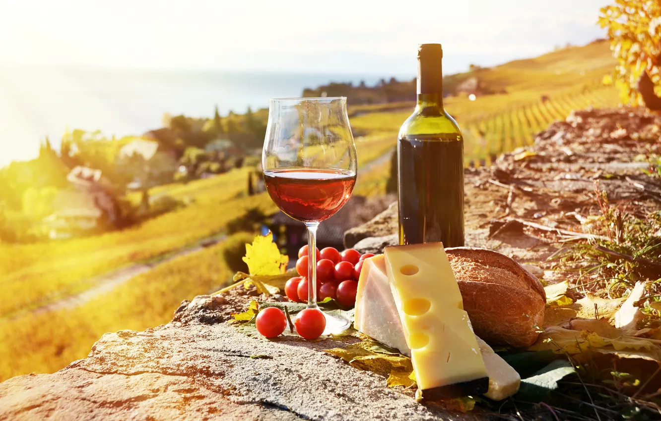 Photo wallpaper rays, glass, wine, cheese, cheese, the sun, grapes, grape