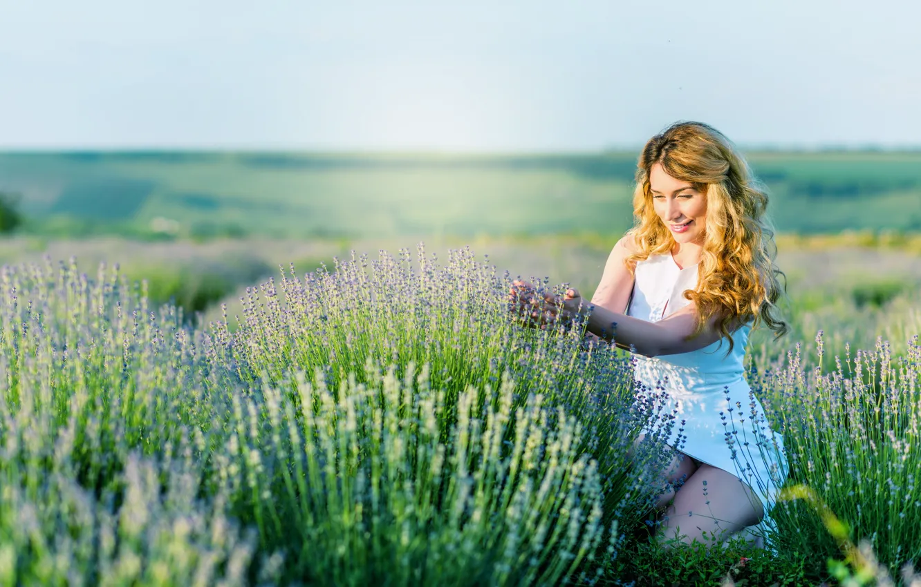 Photo wallpaper field, girl, flowers, nature, lavender