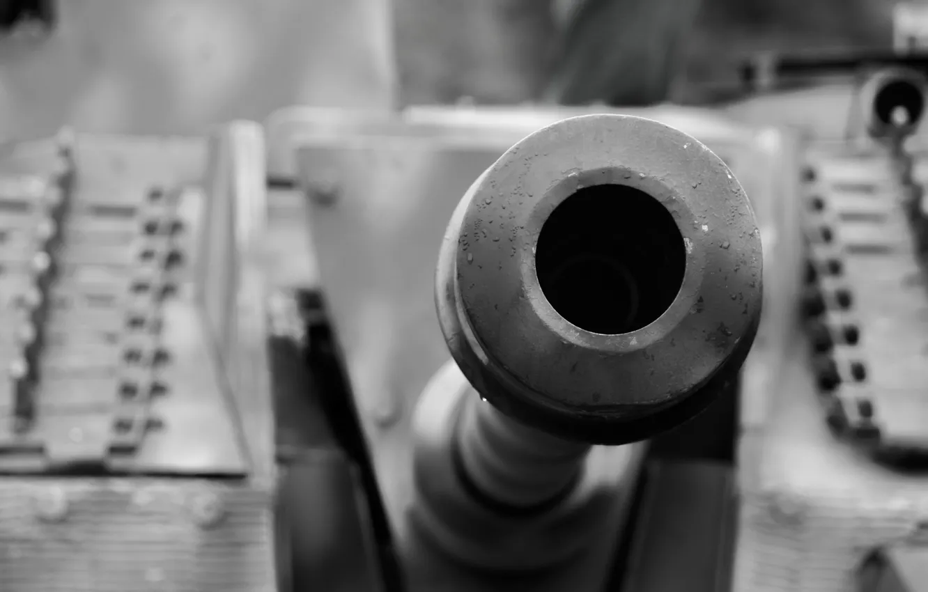 Photo wallpaper the barrel, trunk, Jagdpanther, tank fighter, "Jagdpanther"