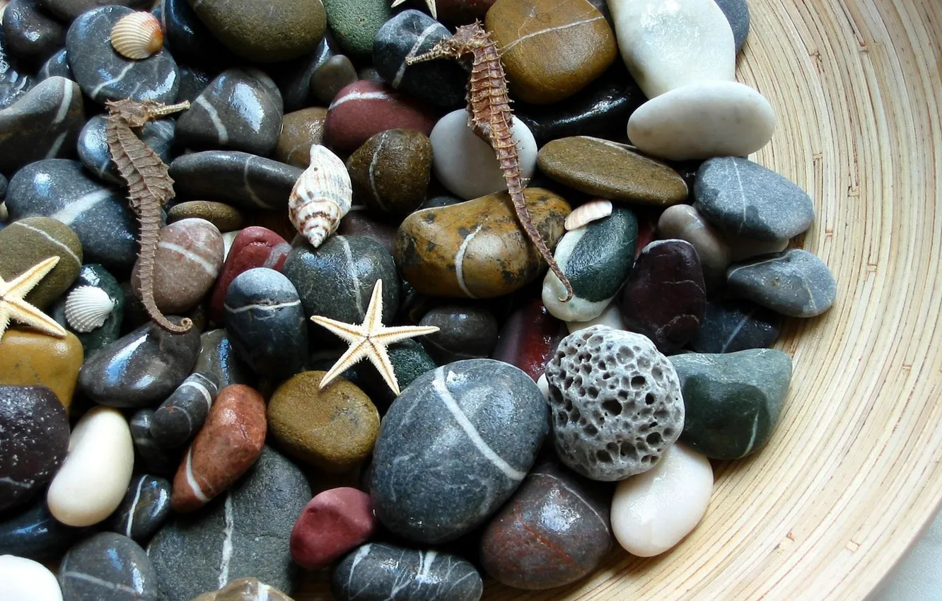 Photo wallpaper macro, stones, sea