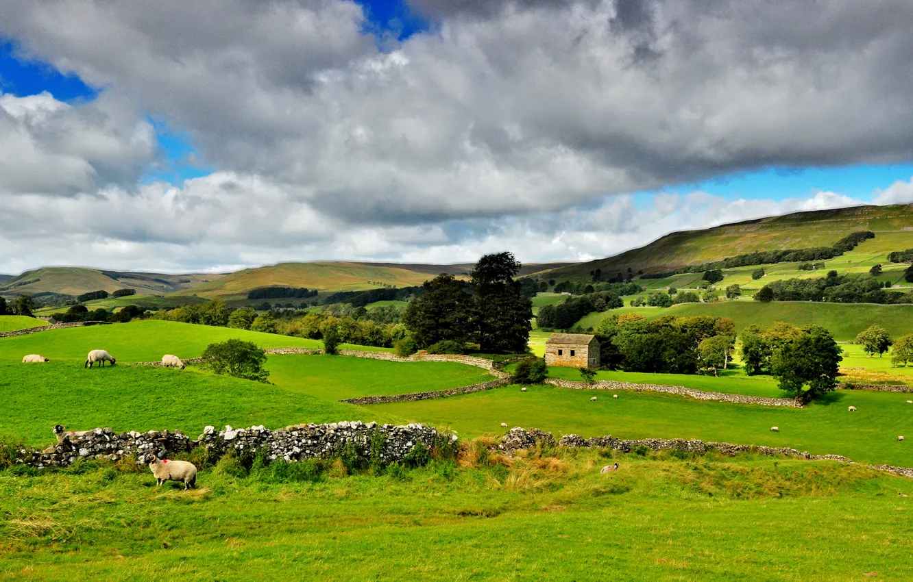 Photo wallpaper greens, the sky, trees, landscape, clouds, nature, Park, national