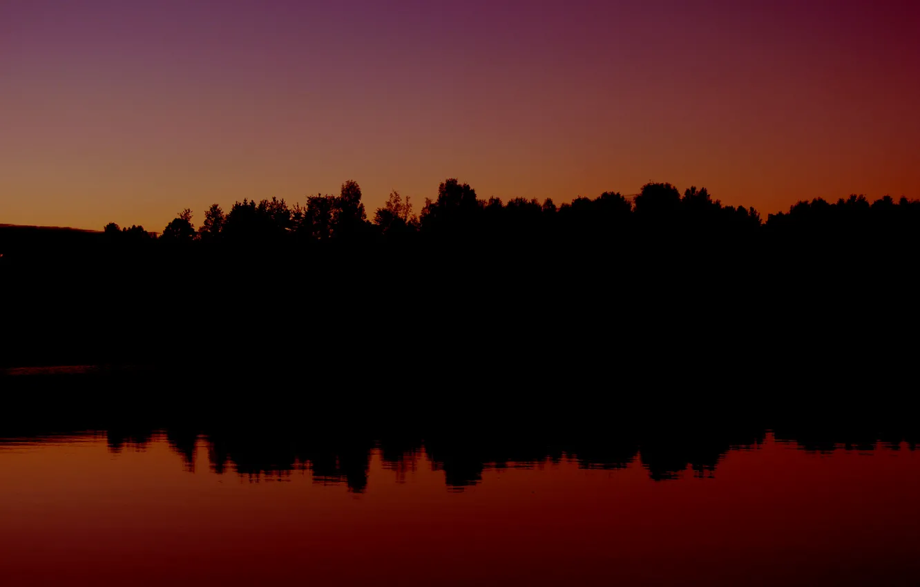 Photo wallpaper forest, sunset, lake, forest, sunset, lake