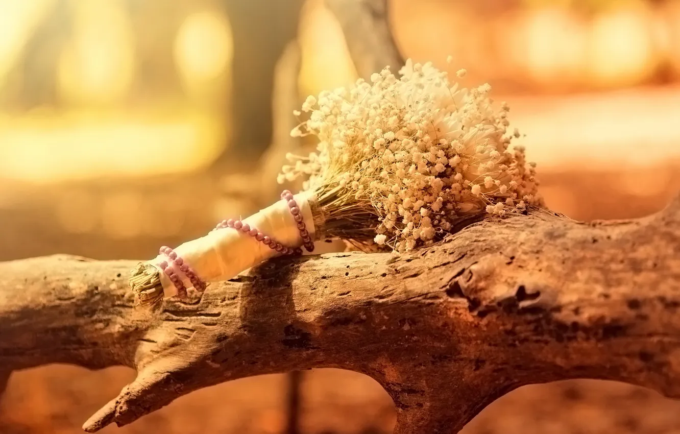 Photo wallpaper trees, flowers, bouquet