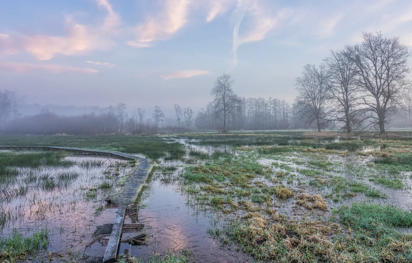 Photo wallpaper autumn, the sky, grass, clouds, trees, fog, vegetation, Board