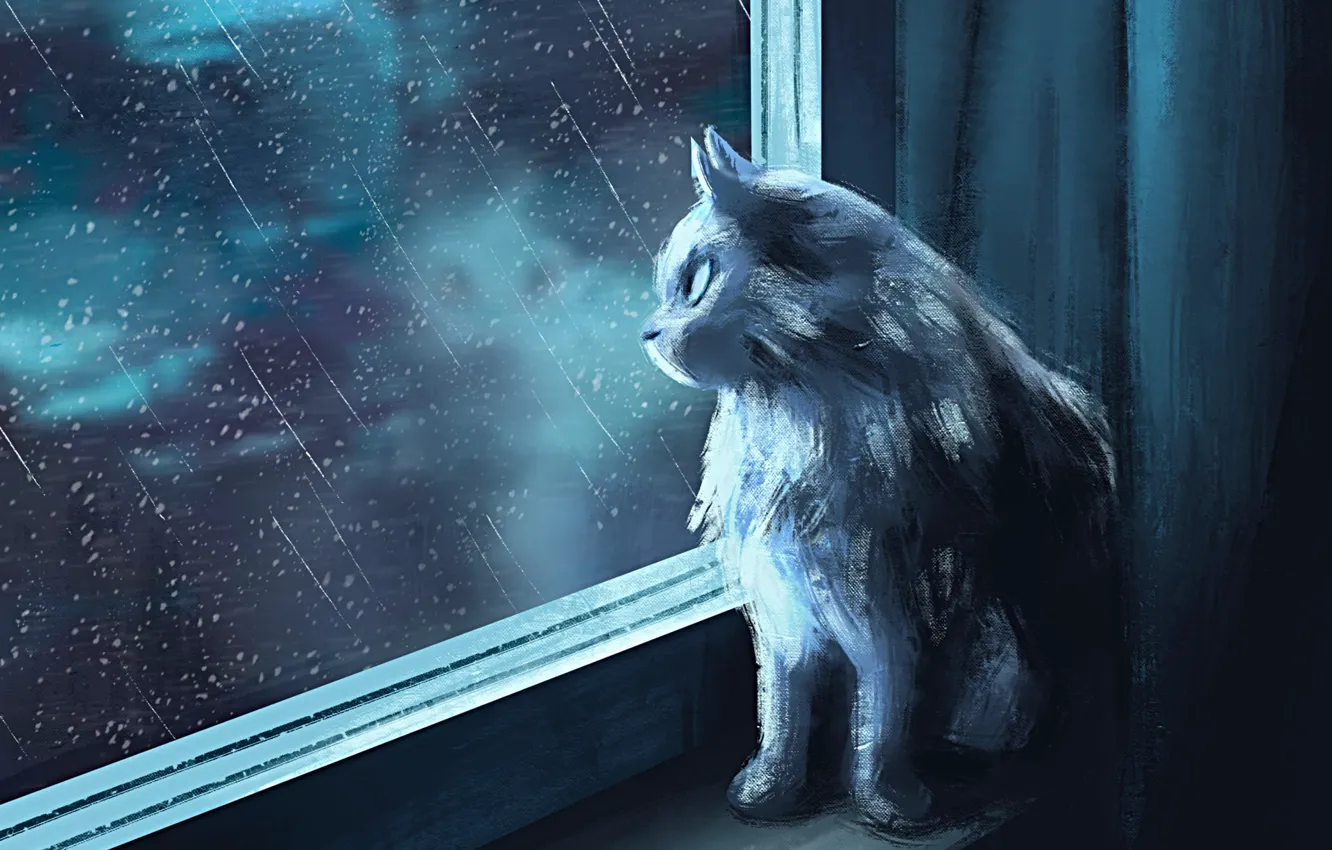 Photo wallpaper cat, rain, interior