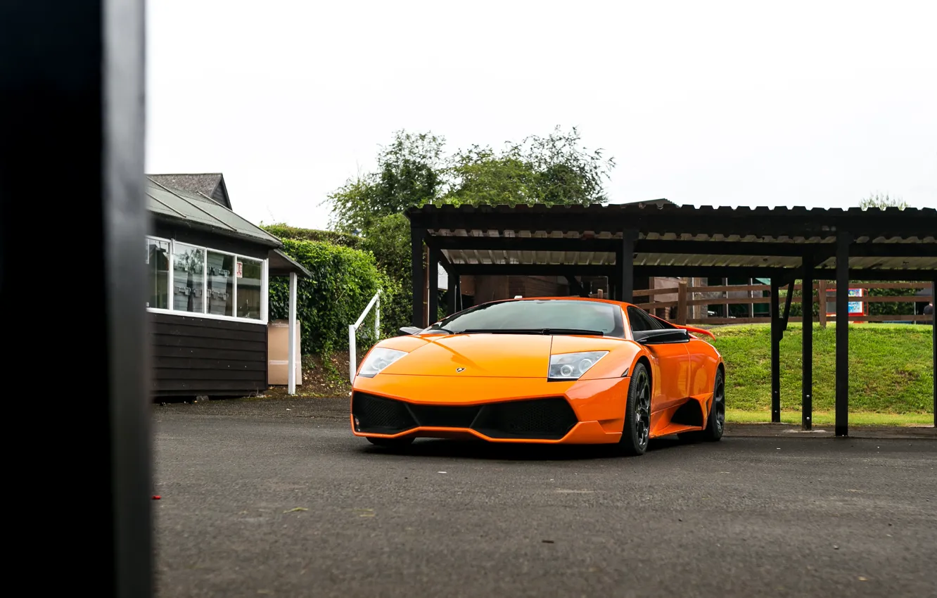 Photo wallpaper Lamborghini, Orange, Murcielago