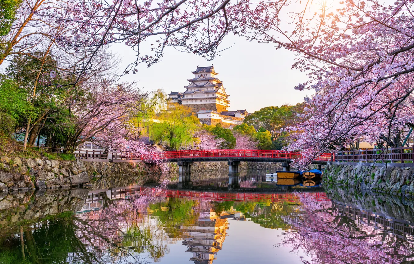 Photo wallpaper the sky, trees, landscape, bridge, nature, river, Japan, Sakura