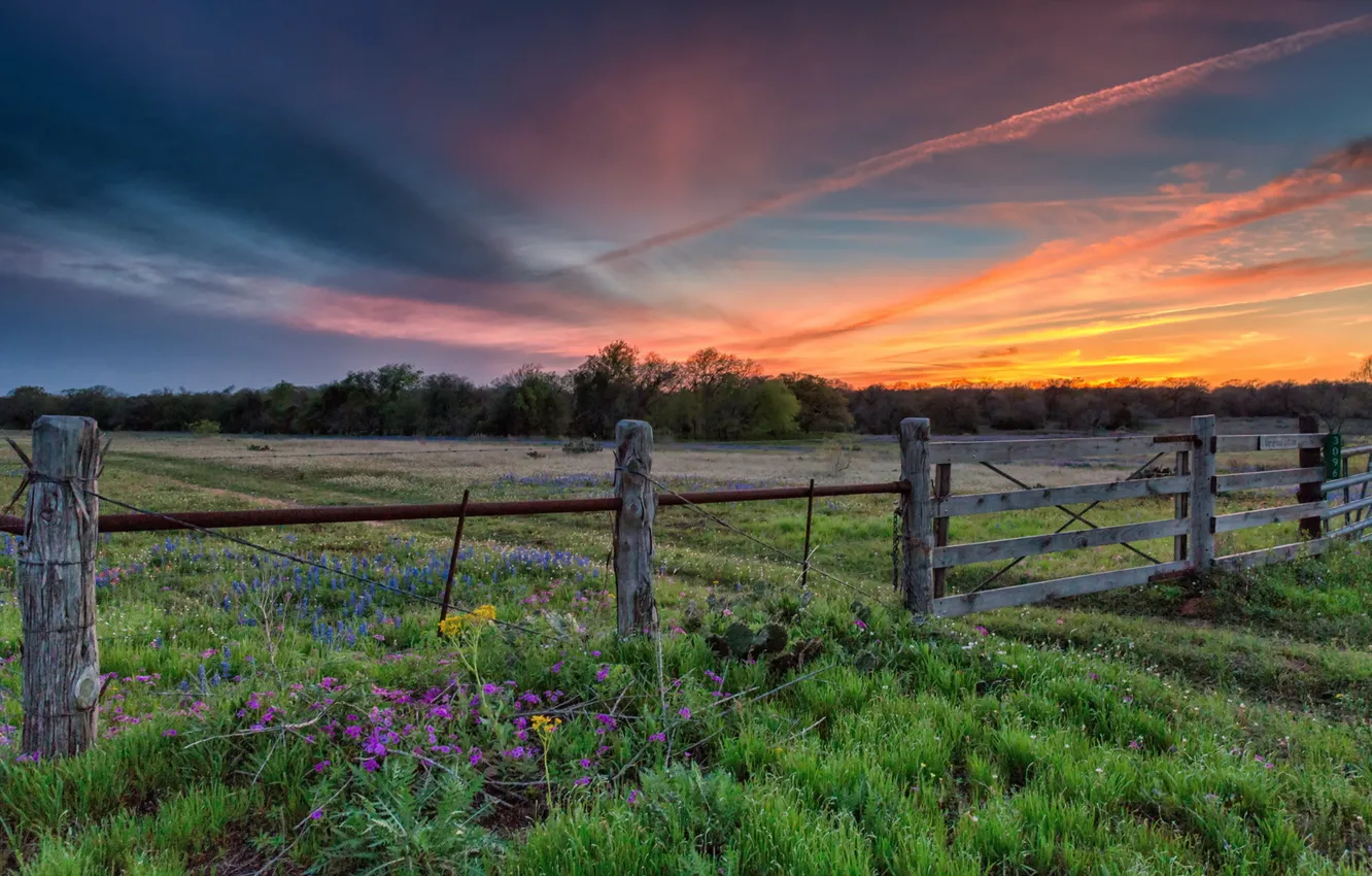Photo wallpaper field, landscape, sunset