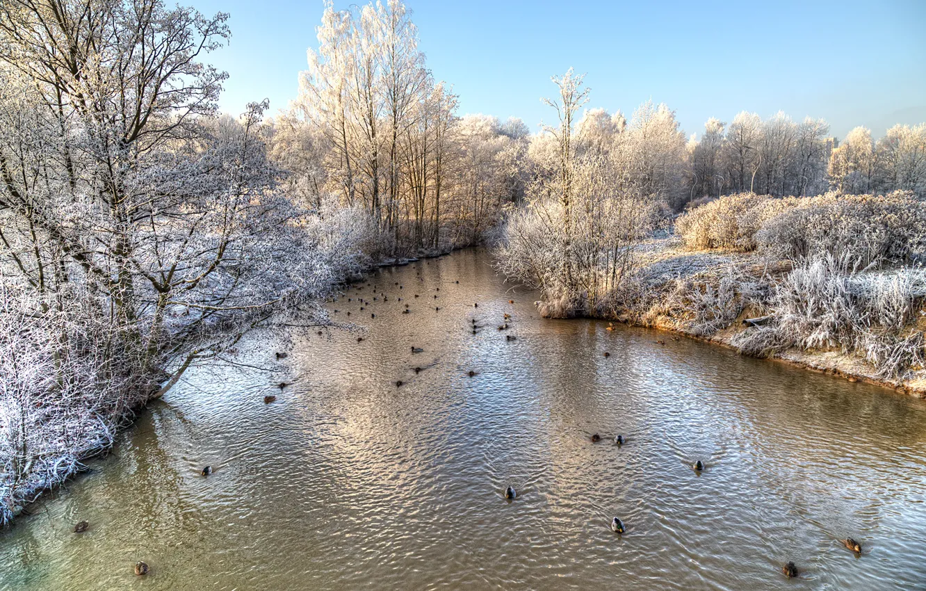 Photo wallpaper winter, frost, the sky, the sun, snow, trees, pond, Park