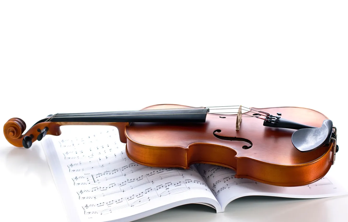 Photo wallpaper notes, violin, strings, white background, journal, musical instrument