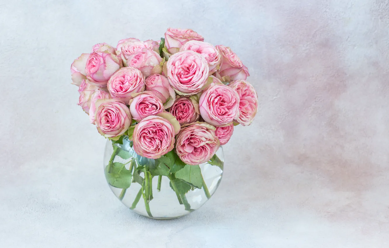 Photo wallpaper roses, bouquet, vase, pink, Julija Vilvarin