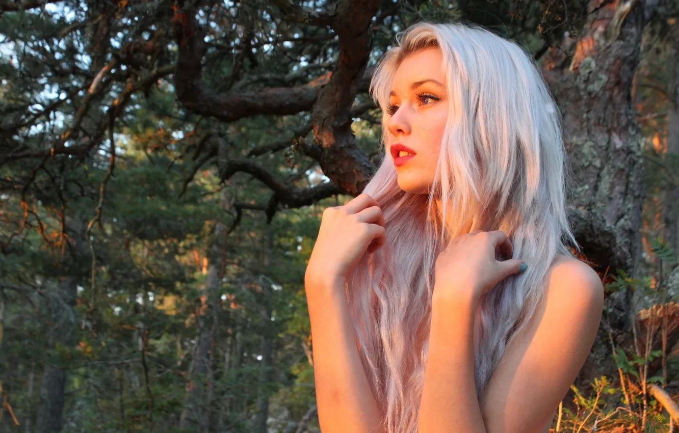 Photo wallpaper forest, girl, photo, blonde, girl, Devon Jade