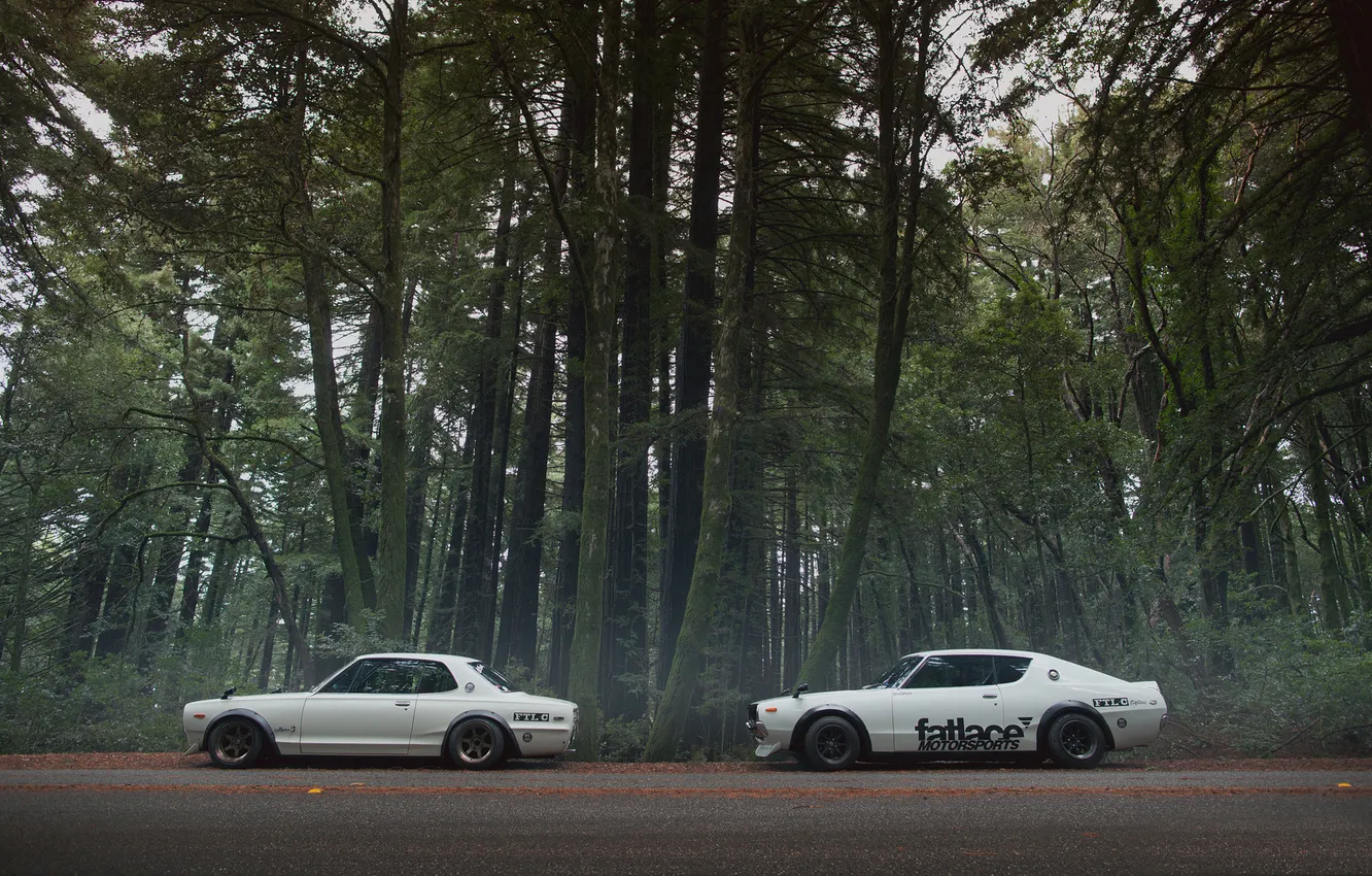 Photo wallpaper road, forest, nissan, fatlaceskylines