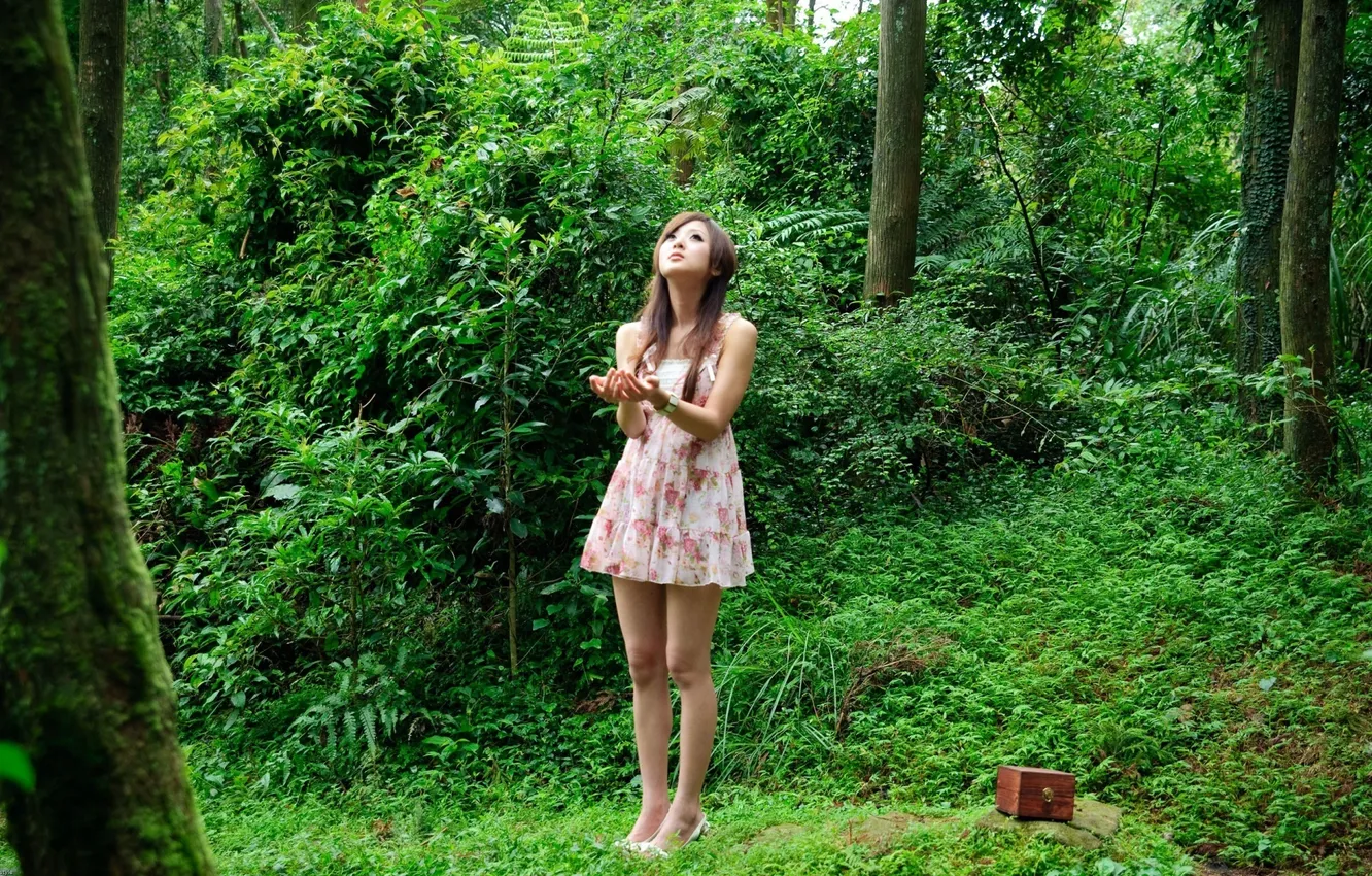 Photo wallpaper girl, nature, hands, Asian