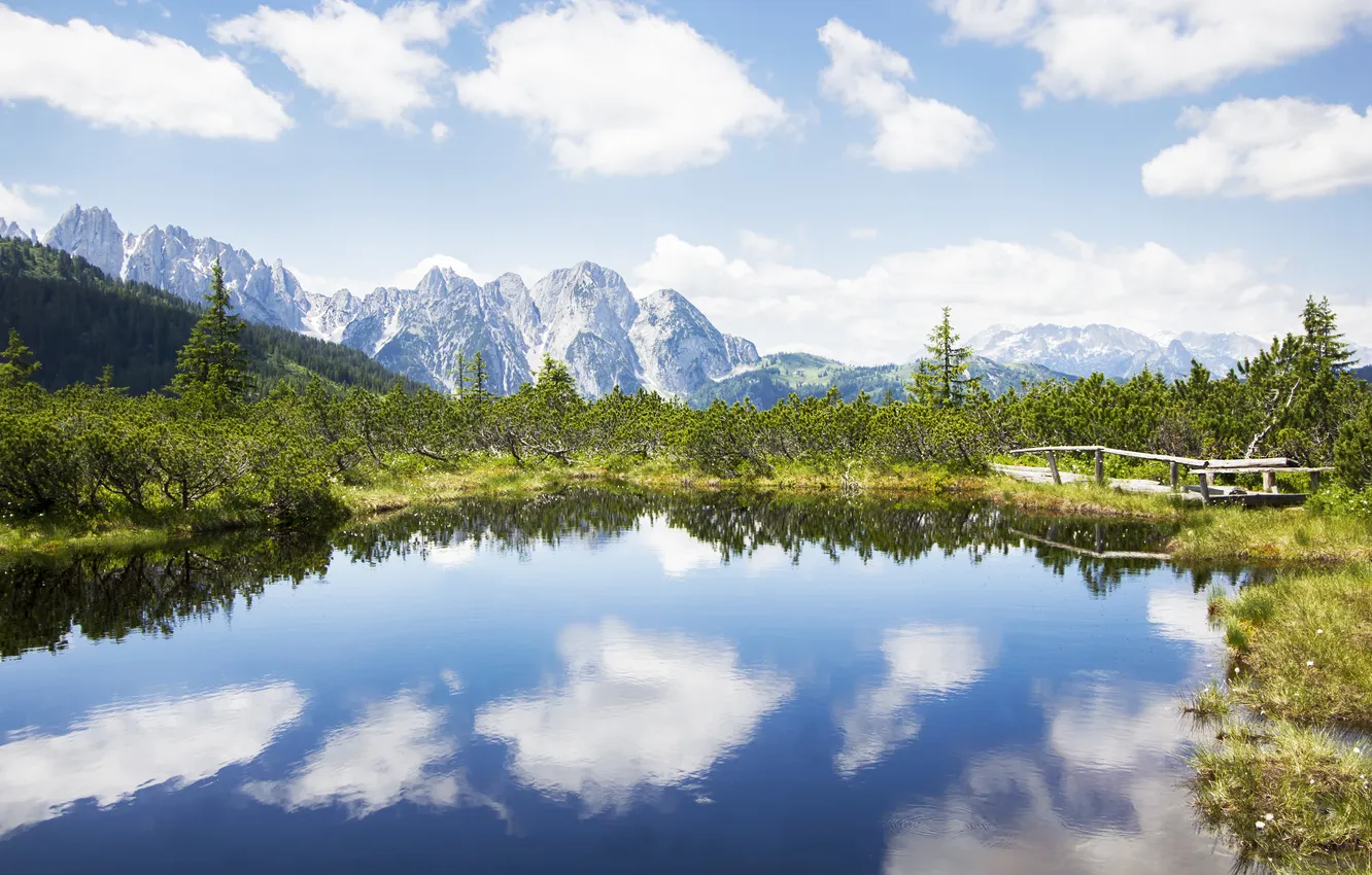 Photo wallpaper forest, mountains, nature, lake, tree, forest, the bridge, nature