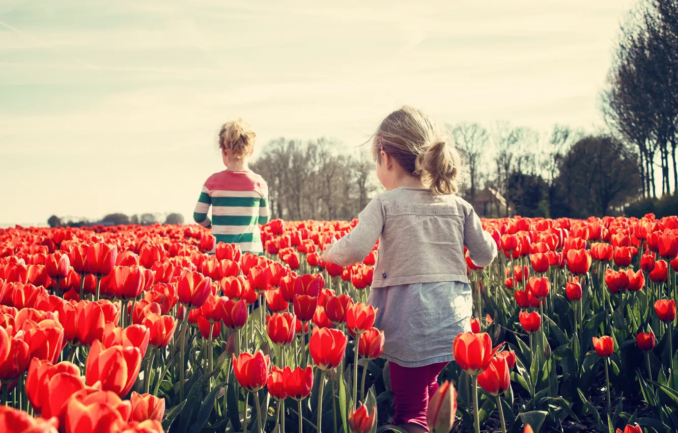 Photo wallpaper children, spring, girl, tulips, back, two, tulips, plantation
