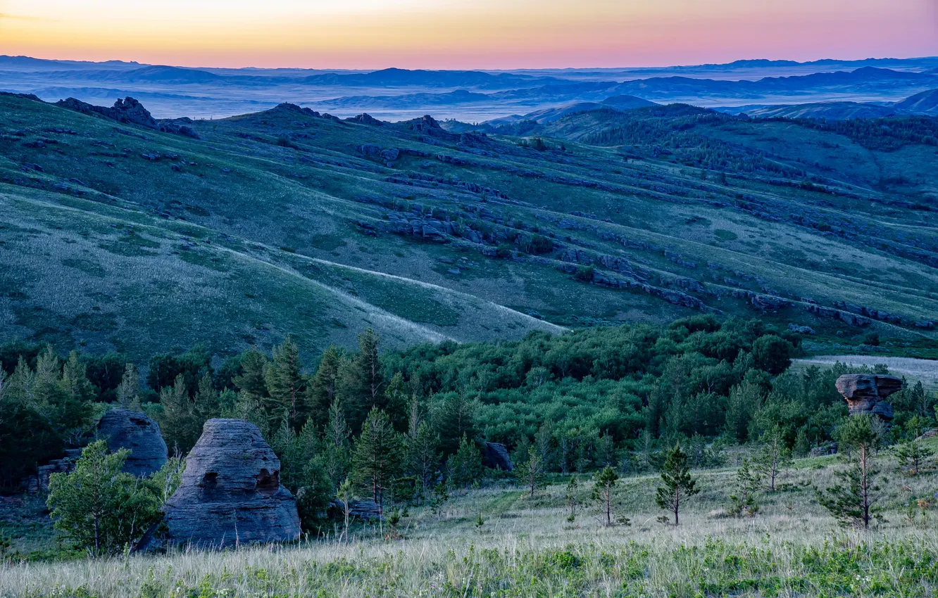 Photo wallpaper trees, horizon, space, Kazakhstan, Evgeny Drobotenko, Ku Mountains
