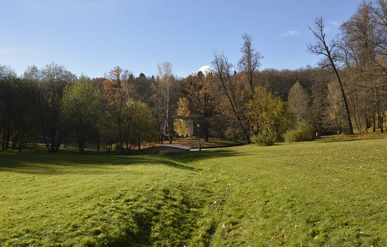 Photo wallpaper Nature, Field, Autumn, Trees, Moscow, Park, Russia, Nature