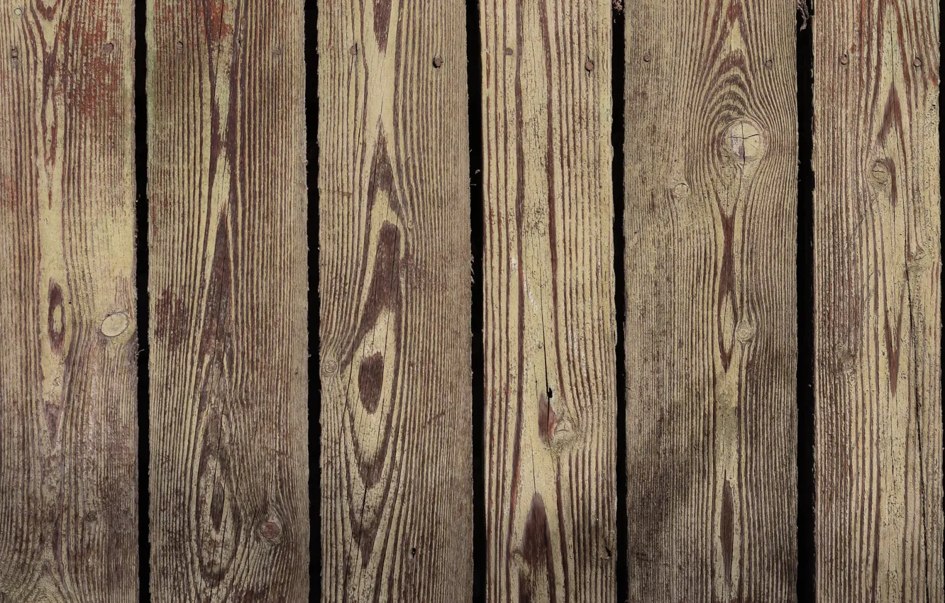 Photo wallpaper surface, tree, Board, wooden