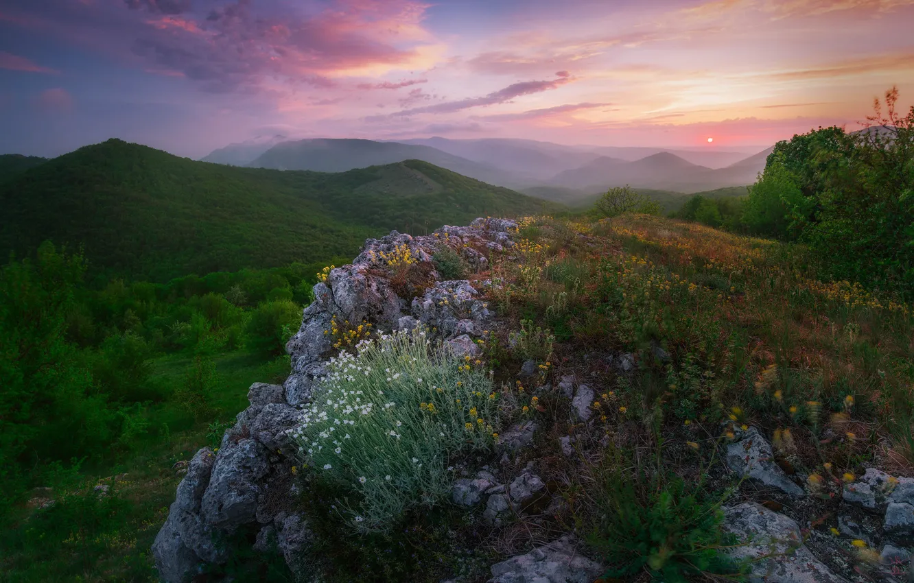Photo wallpaper flowers, mountains, rocks, dawn, morning