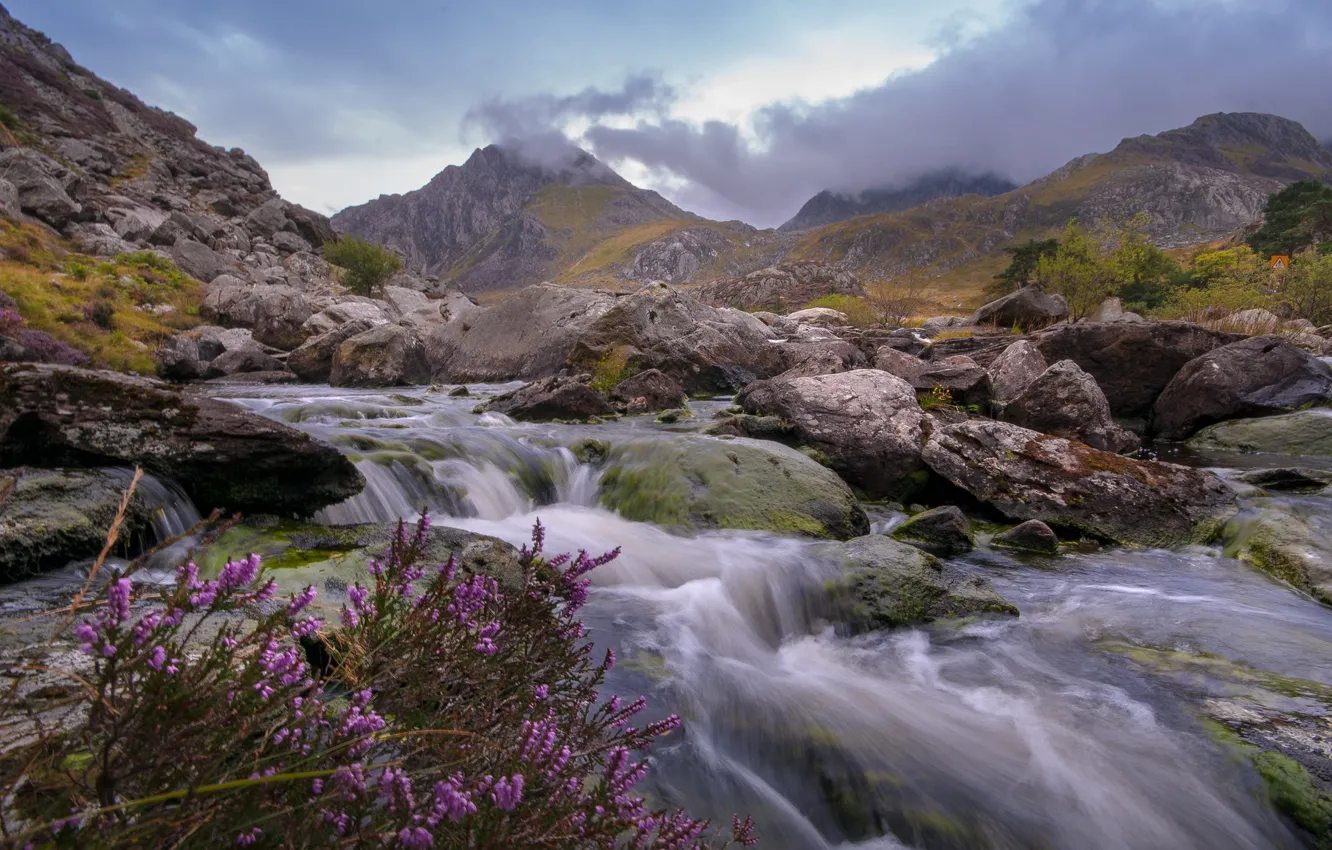 Photo wallpaper mountains, river, stones, England, England, Wales, Wales, Heather