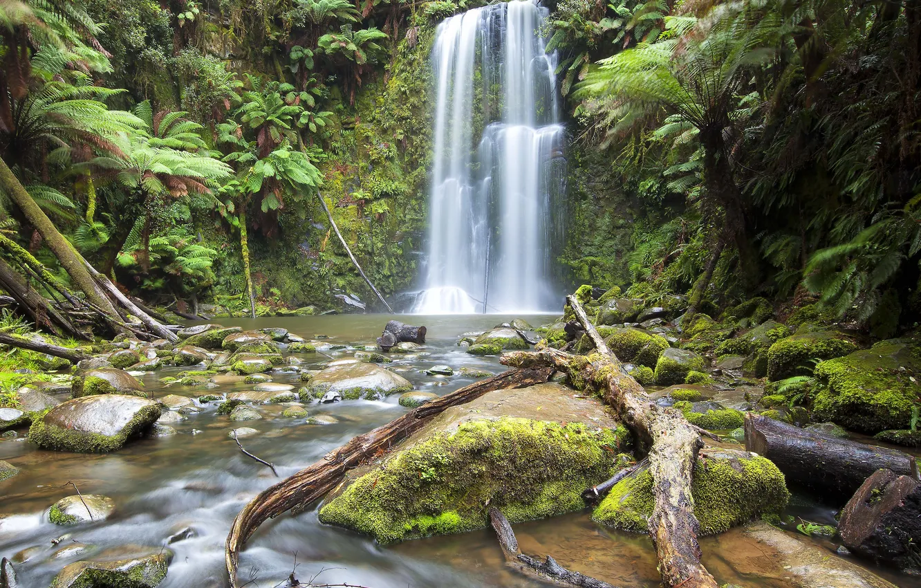 Photo wallpaper forest, river, stones, waterfall, moss
