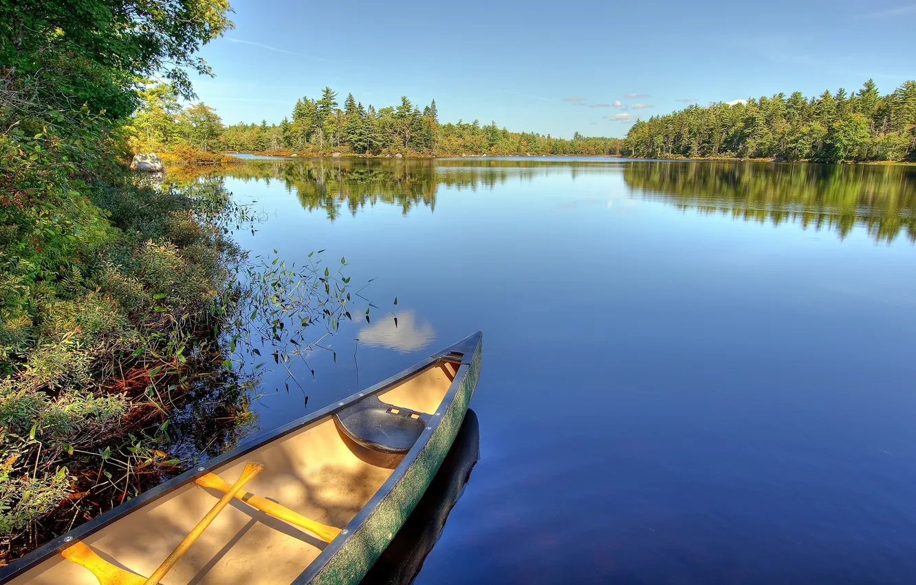 Photo wallpaper greens, water, landscape, lake, pond, river, boat, plant