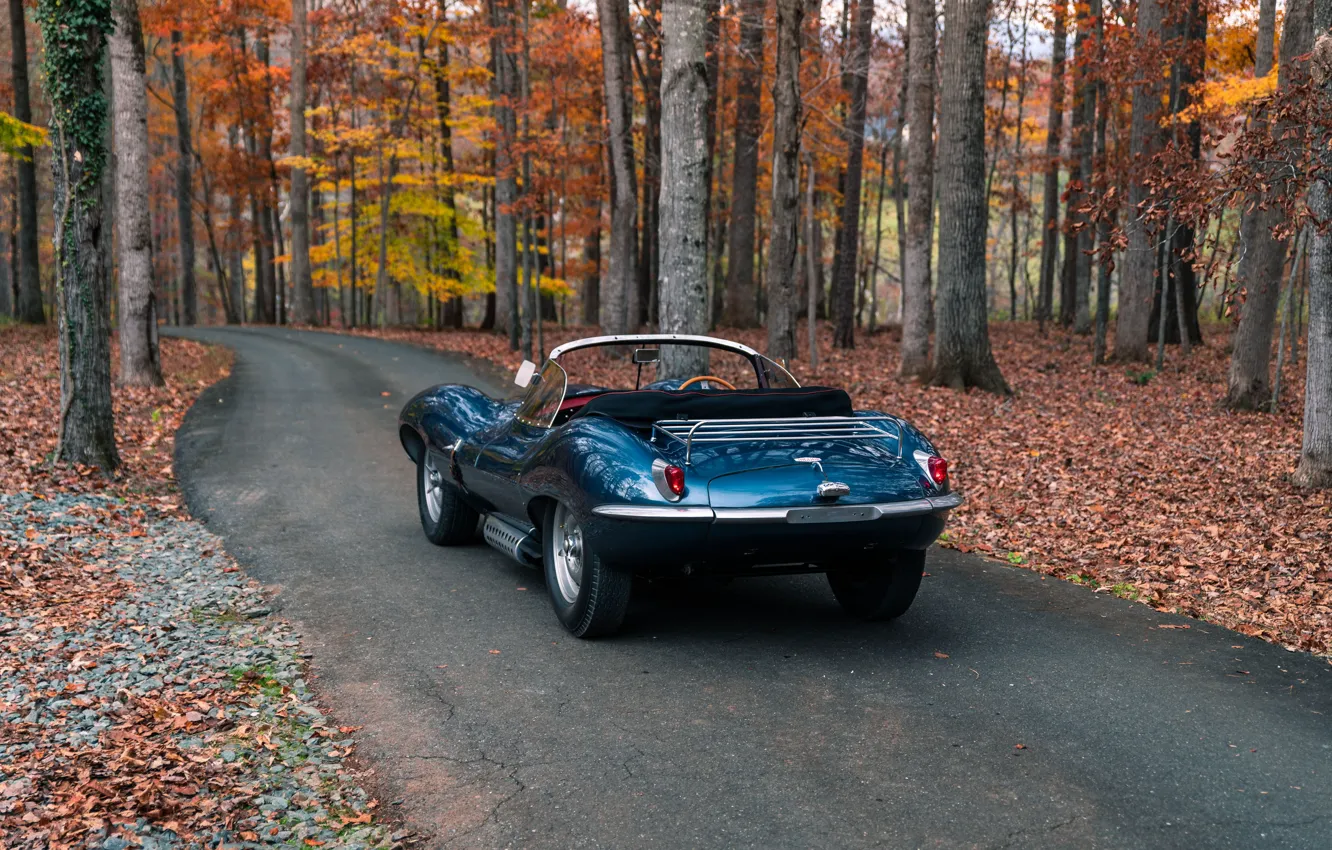 Photo wallpaper Jaguar, 1957, rear view, XKSS, Jaguar XKSS