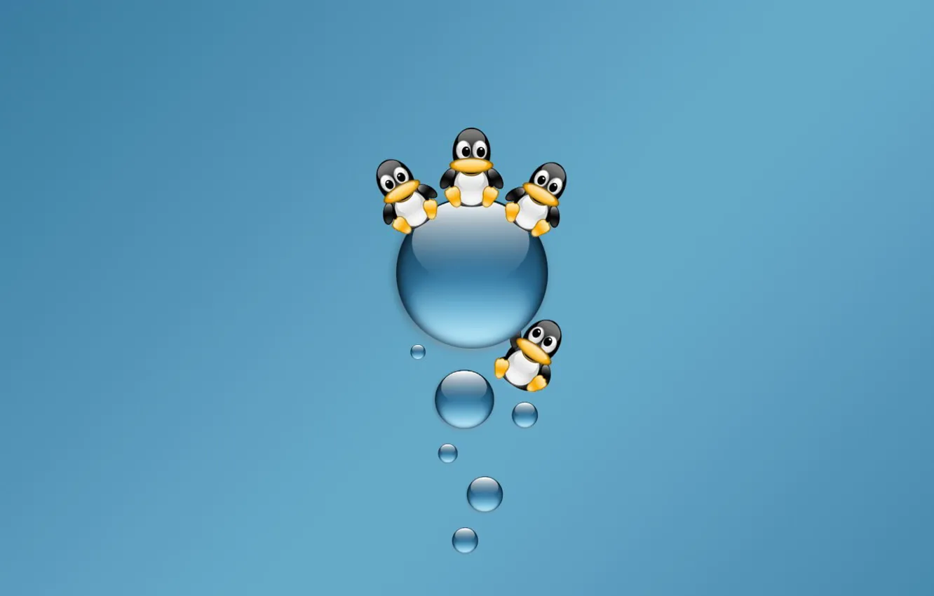 Photo wallpaper blue, Minimalism, penguins
